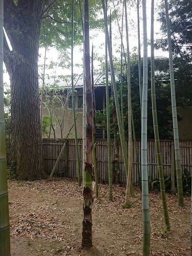 160502_03.jpg