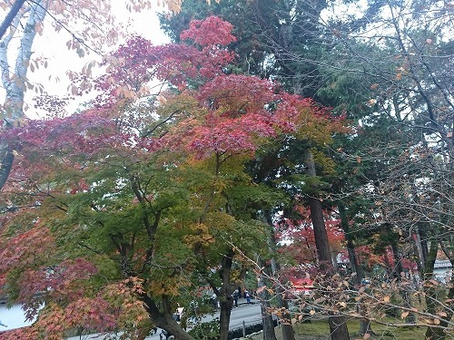 161119_46.jpg