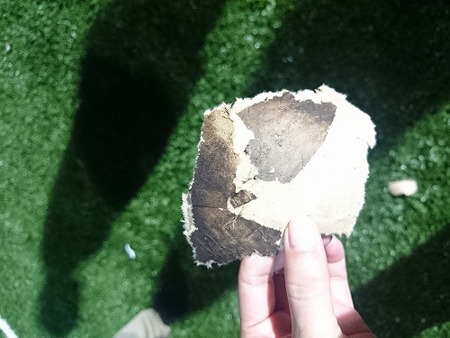 170722_12.jpg
