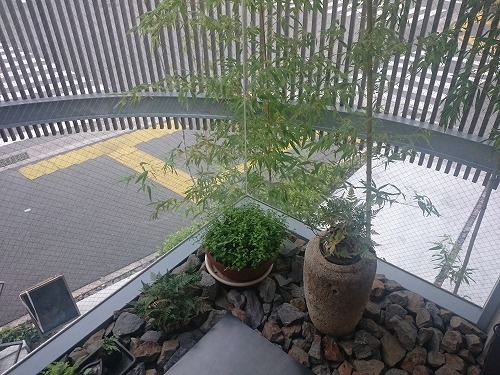 170829_04.jpg