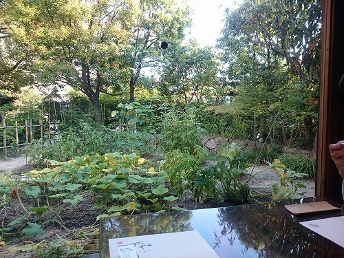 180715_01.jpg