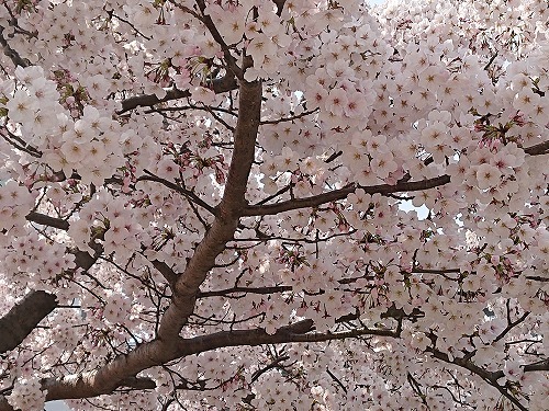190407_02.jpg