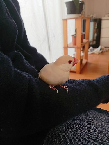 190407_05.jpg