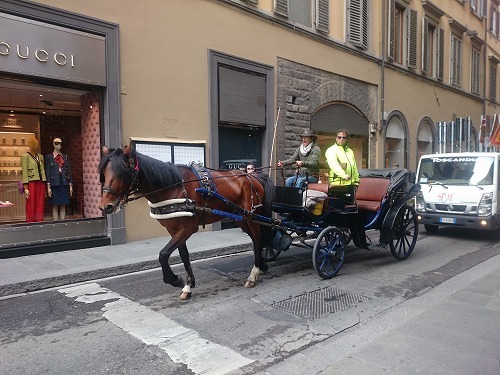 190430_003.jpg