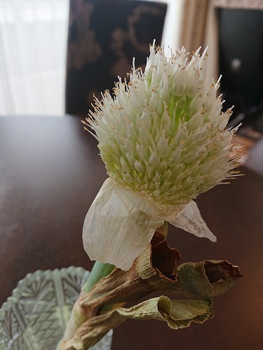 200525_07.jpg