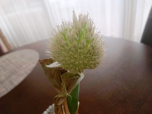 200528_01.jpg