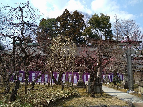 220312_80.jpg